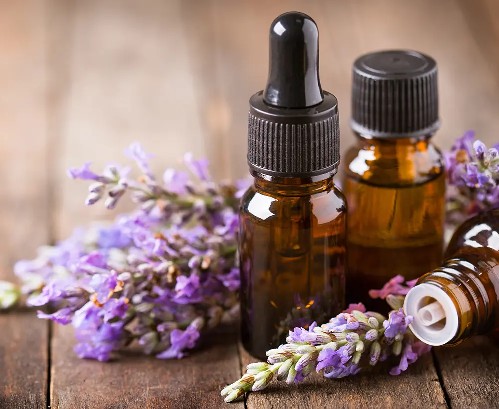 Aromatherapy Industry