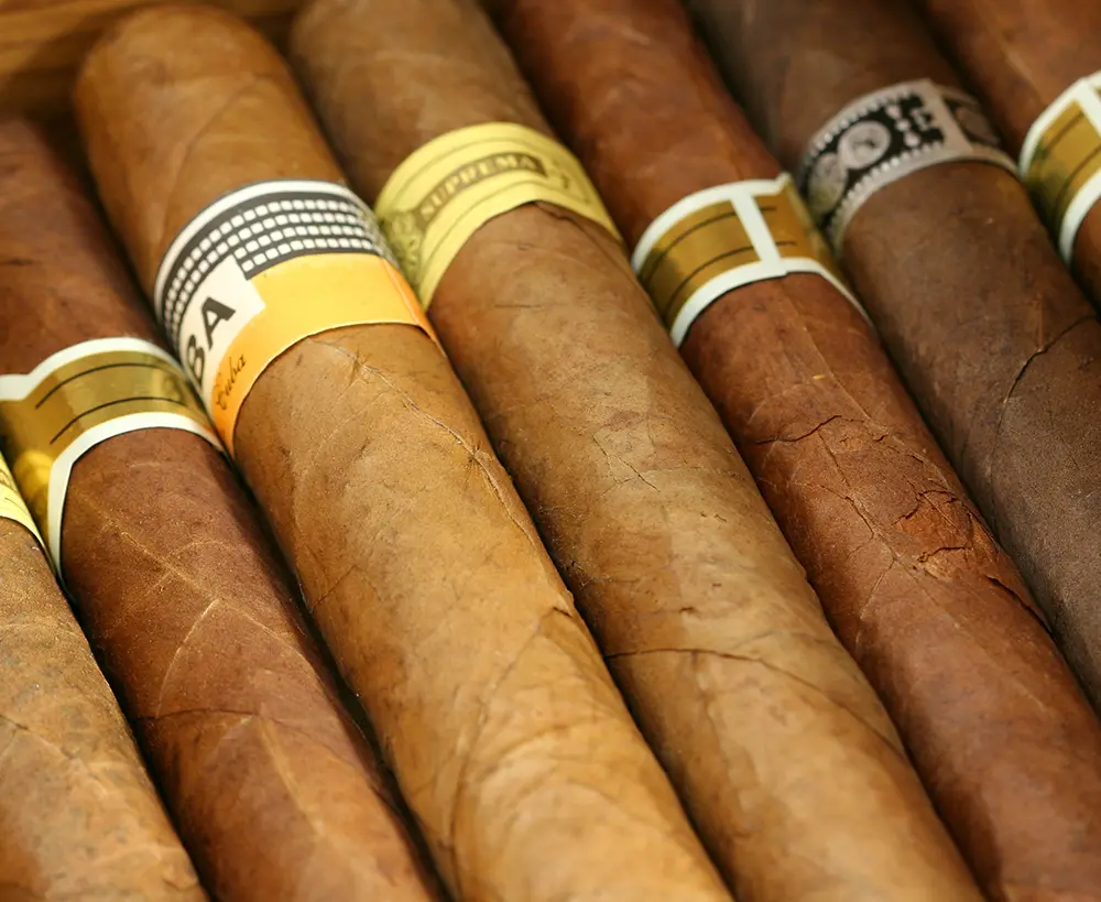 Cigar Tube Storage & Display