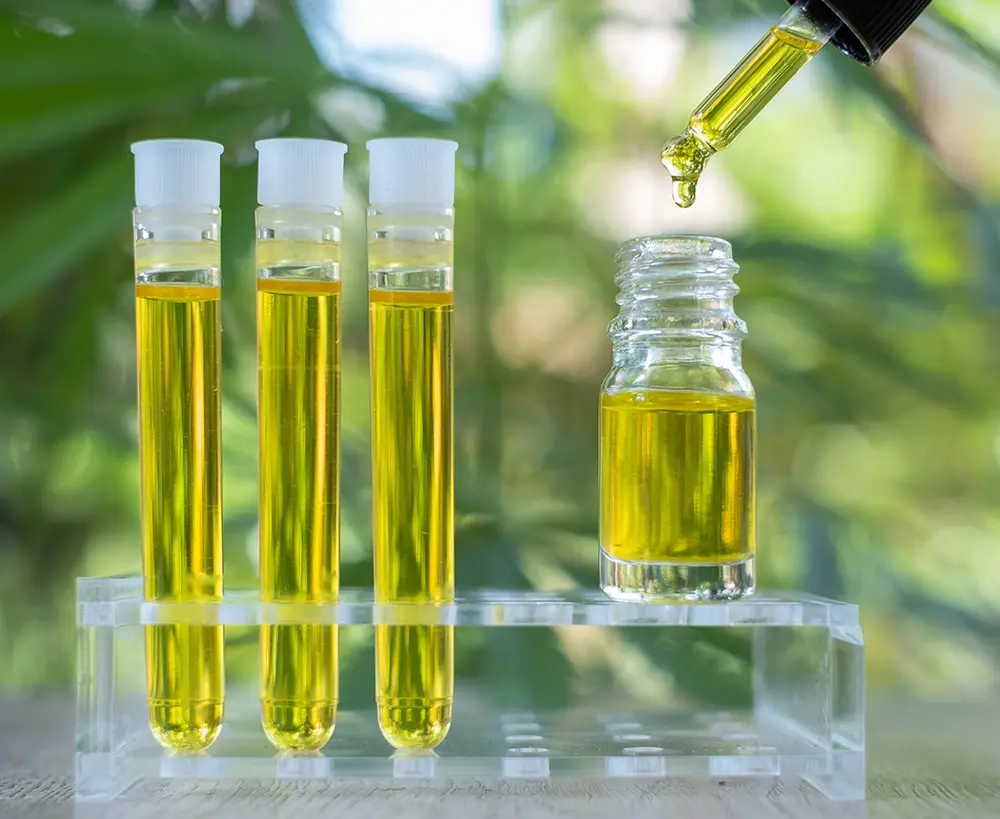 vials being filled with CBD oil