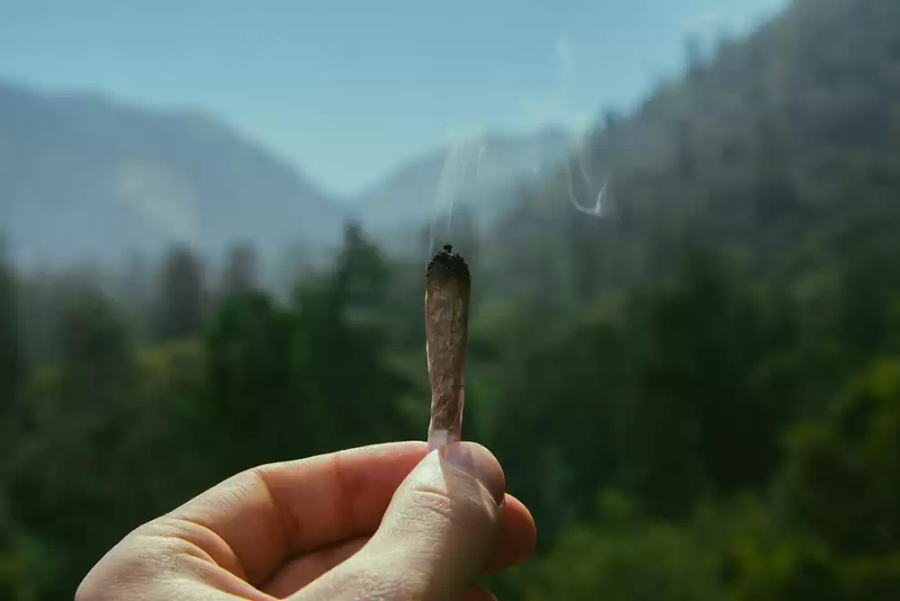 a person holding a joint in nature