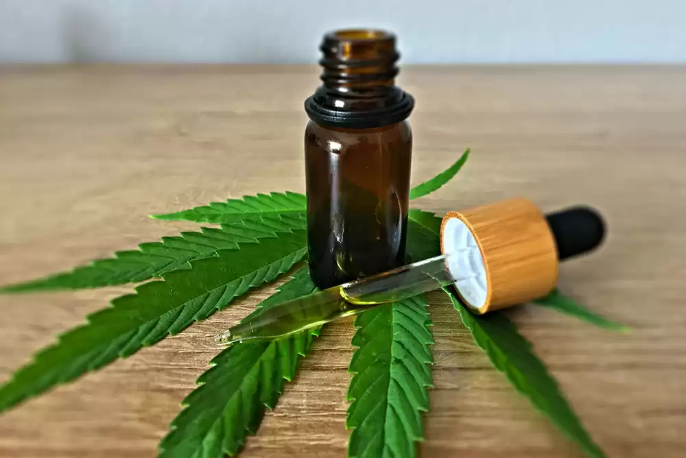 a small vial of cannabis oil on top of a cannabis leaf