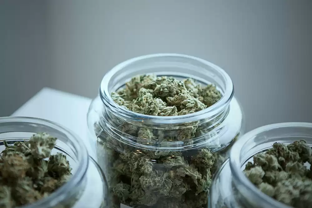 Cannabis in glass jars