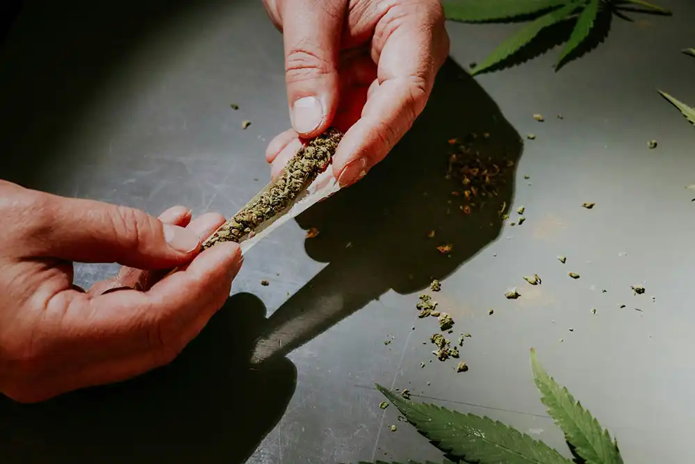 A man rolling a marijuana joint.
