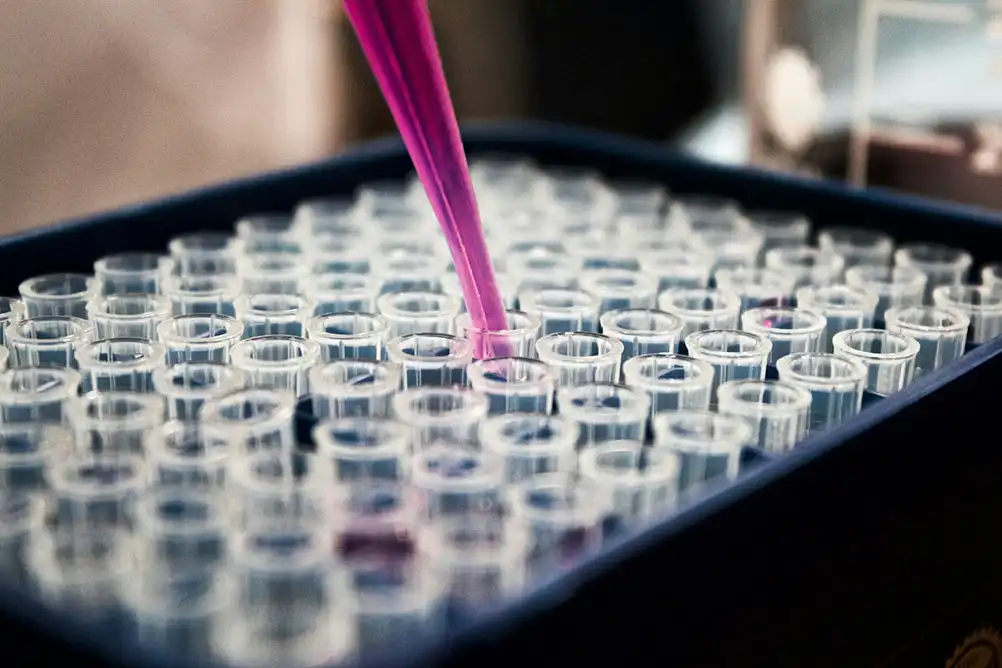 A purple pipette fills one of many glass vials in a lab tray